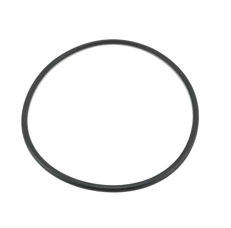 CARTIDGE POOLQUIP C50 LID ORING P4